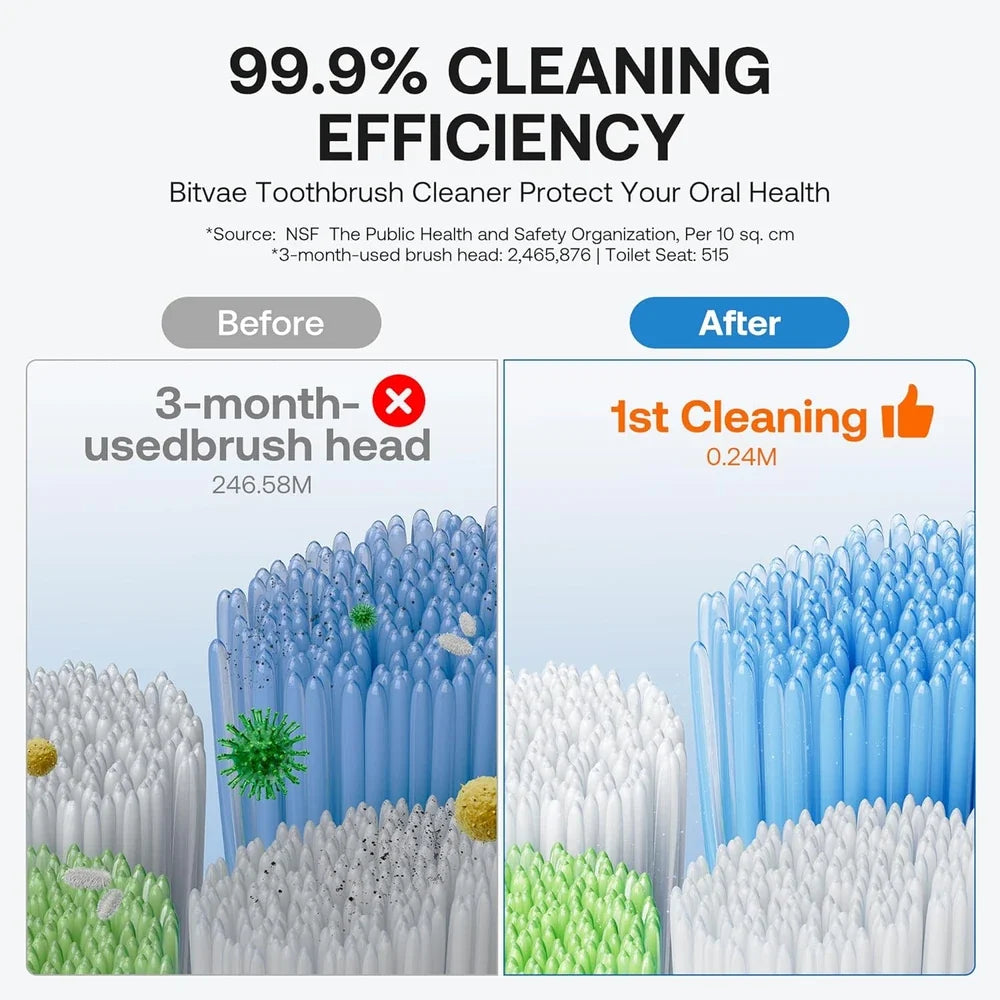 Bitvae Toothbrush Cleaner Holder
